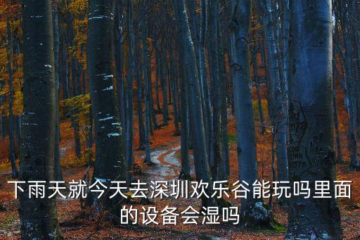 下雨天就今天去深圳歡樂谷能玩嗎里面的設備會濕嗎