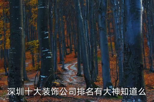 深圳十大裝飾公司排名有大神知道么