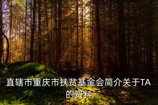 重慶市扶貧辦莫杰簡歷，直轄市重慶市扶貧基金會簡介關于TA的資料