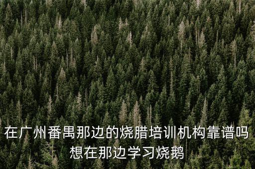 在廣州番禺那邊的燒臘培訓(xùn)機構(gòu)靠譜嗎想在那邊學(xué)習(xí)燒鵝