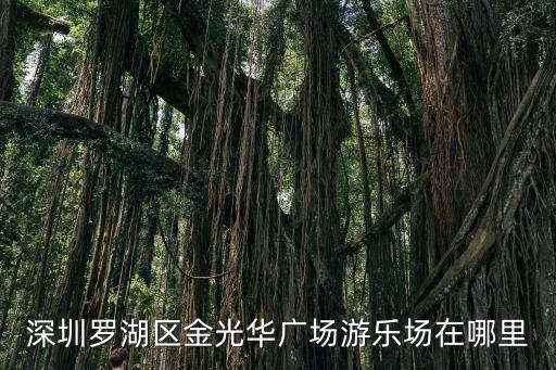 深圳金華光廣場，深圳羅湖車站到金光華廣場怎么走坐什么公交車