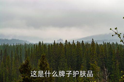 這是什么牌子護(hù)膚品