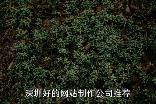 深圳好的網站制作公司推薦