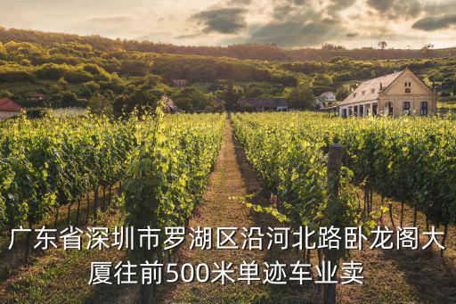廣東省深圳市羅湖區沿河北路臥龍閣大廈往前500米單跡車業賣