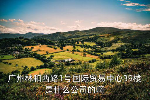 廣州市維德貿易有限公司，廣州哪里是賣法拉利和瑪莎拉蒂的