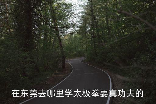 東莞學(xué)太極，東莞哪里可以學(xué)太極拳