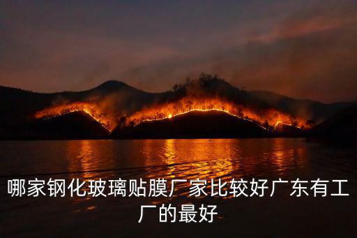 哪家鋼化玻璃貼膜廠家比較好廣東有工廠的最好
