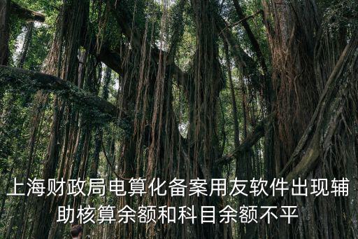 上海財政局電算化備案用友軟件出現輔助核算余額和科目余額不平