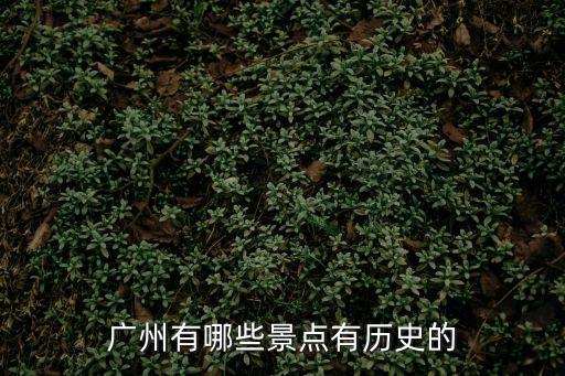 廣州有哪些歷史景點，廣州有哪些歷史悠久的地方