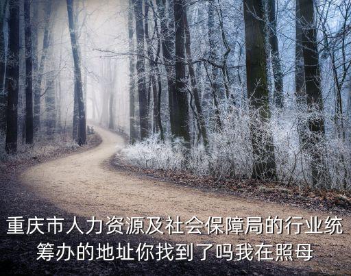 重慶市行業(yè)統(tǒng)籌辦公室地址，重慶市人力資源及社會(huì)保障局的行業(yè)統(tǒng)籌辦的地址你找到了嗎我在照母