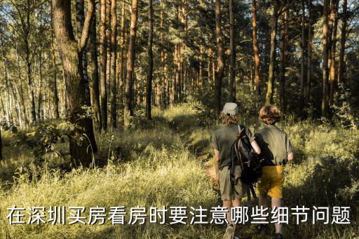 在深圳買房看房時要注意哪些細節問題