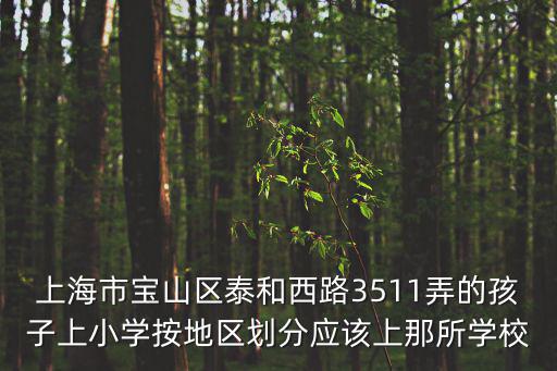 上海市寶山區泰和西路3511弄的孩子上小學按地區劃分應該上那所學校