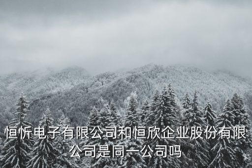 恒忻電子有限公司和恒欣企業(yè)股份有限公司是同一公司嗎