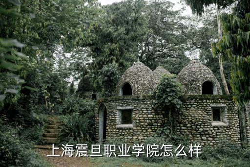 上海震旦職業(yè)學院怎么樣
