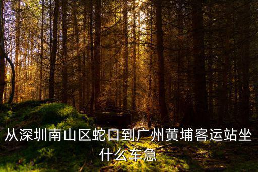 從深圳南油到廣州黃埔，深圳到廣州黃埔坐什么車