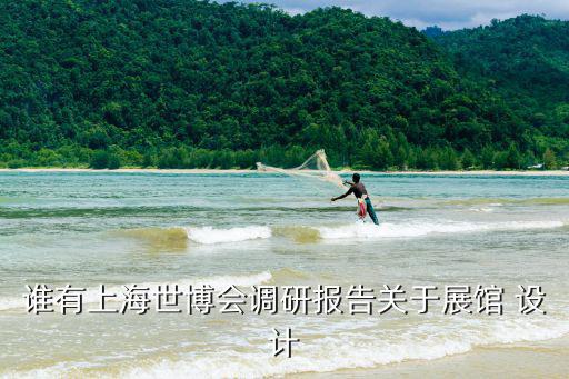 誰有上海世博會調研報告關于展館 設計
