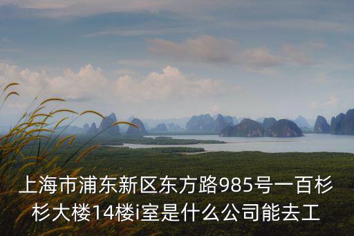 上海市浦東新區(qū)東方路985號(hào)一百杉杉大樓14樓i室是什么公司能去工