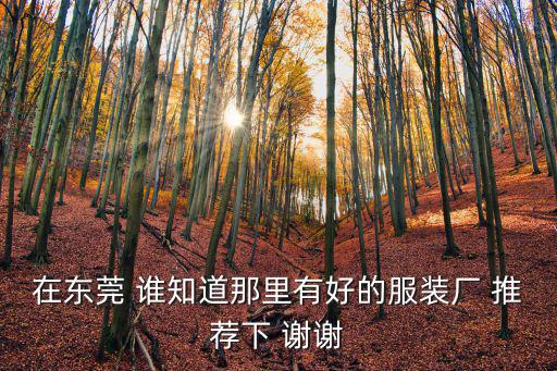 在東莞 誰知道那里有好的服裝廠 推薦下 謝謝