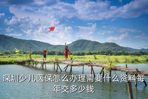 深圳少兒醫保怎么辦理需要什么資料每年交多少錢