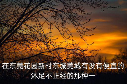在東莞花園新村東城莞城有沒有便宜的沐足不正經的那種一