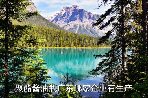 廣州晟平塑料制品有限公司，聚酯醬油瓶廣東哪家企業(yè)有生產(chǎn)