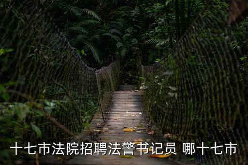 十七市法院招聘法警書記員 哪十七市