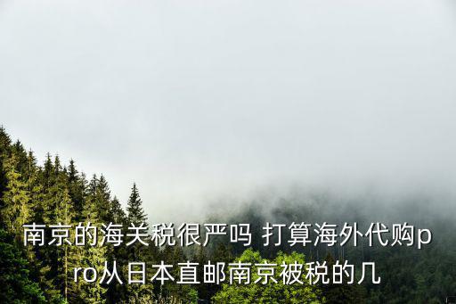 南京的海關稅很嚴嗎 打算海外代購pro從日本直郵南京被稅的幾
