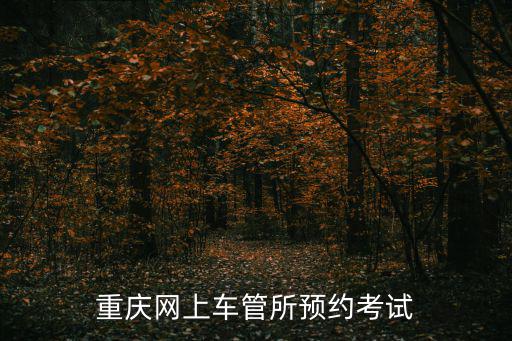 重慶網上車管所預約考試