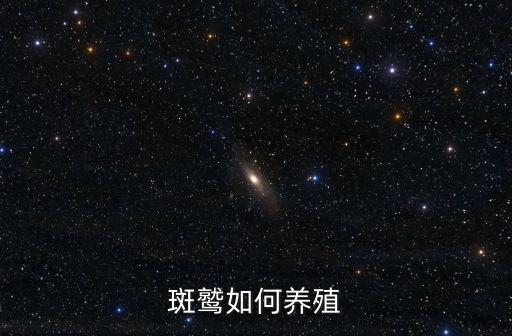 斑鷲如何養殖