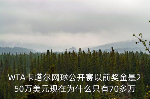 WTA卡塔爾網球公開賽以前獎金是250萬美元現在為什么只有70多萬