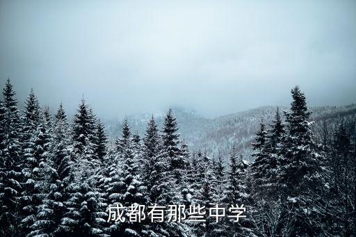 成都有那些中學