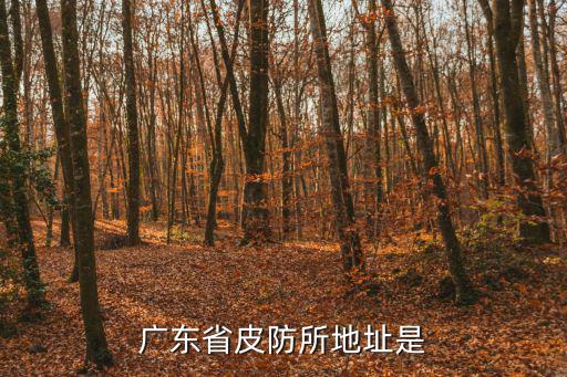 廣東省皮防所地址是
