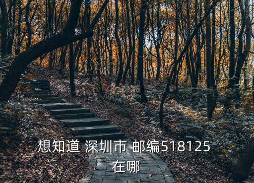 想知道 深圳市 郵編518125 在哪