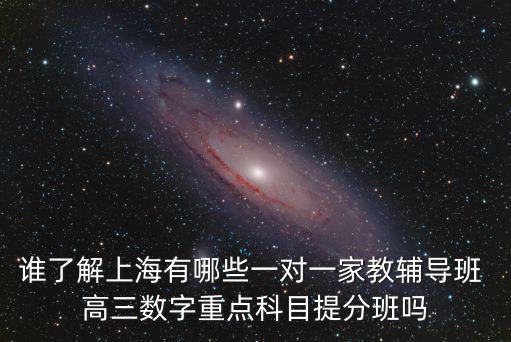 誰了解上海有哪些一對一家教輔導(dǎo)班 高三數(shù)字重點(diǎn)科目提分班嗎