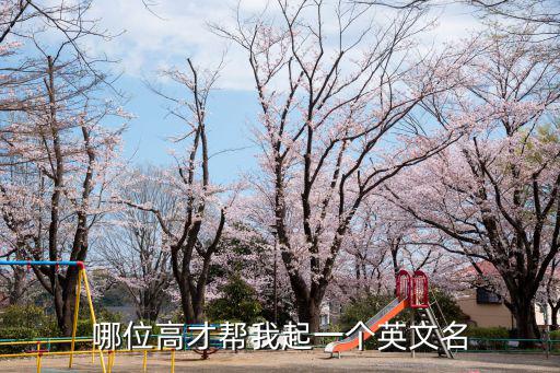 哪位高才幫我起一個英文名