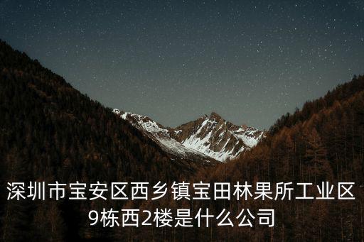 深圳市寶安區(qū)西鄉(xiāng)鎮(zhèn)寶田林果所工業(yè)區(qū)9棟西2樓是什么公司