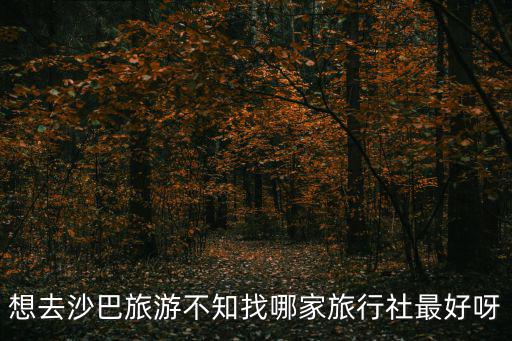 想去沙巴旅游不知找哪家旅行社最好呀
