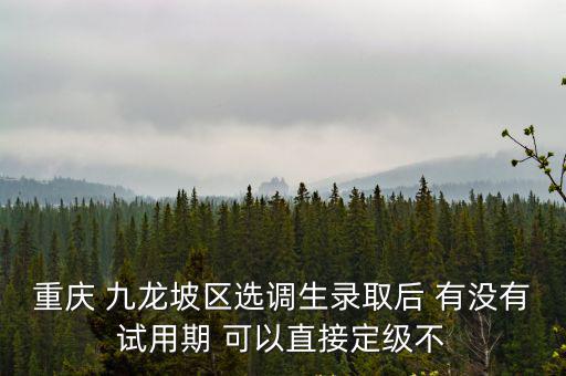 重慶 九龍坡區選調生錄取后 有沒有試用期 可以直接定級不
