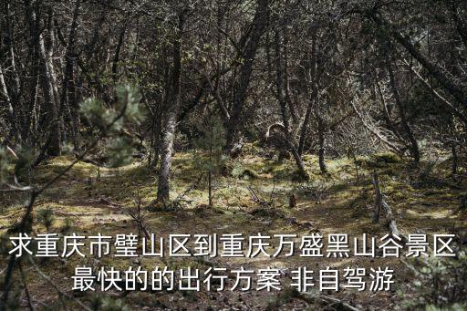 求重慶市璧山區到重慶萬盛黑山谷景區最快的的出行方案 非自駕游