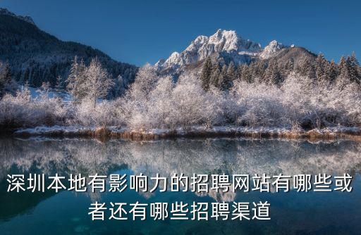 深圳本地有影響力的招聘網站有哪些或者還有哪些招聘渠道