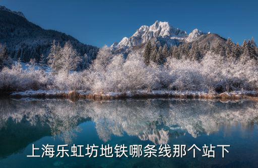 上海市Plus樂坊，在上海閔行馬橋這里開樂個小店鋪想裝個寬帶奈何企業寬帶太