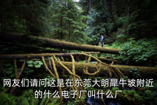 網(wǎng)友們請問這是在東莞大朗犀牛坡附近的什么電子廠叫什么廠