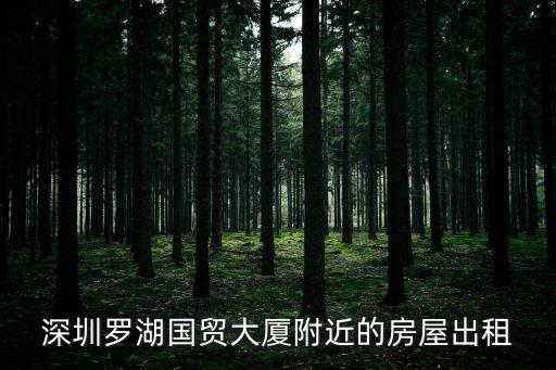 深圳羅湖國貿大廈附近的房屋出租