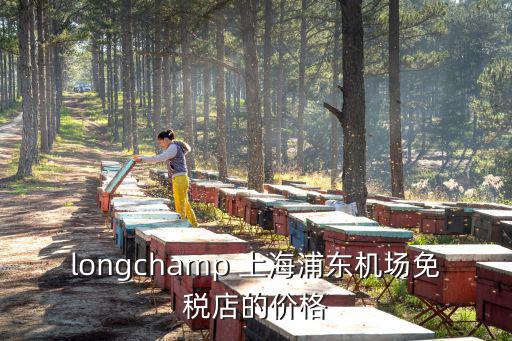 上海市場購買天銘臺磨機，longchamp 上海浦東機場免稅店的價格