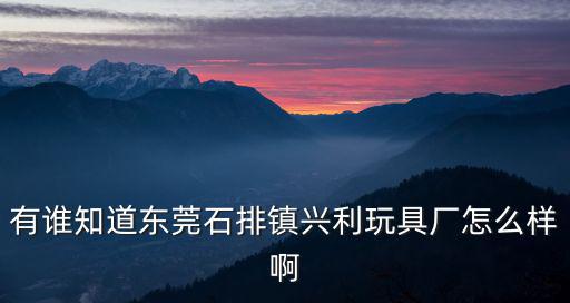 有誰(shuí)知道東莞石排鎮(zhèn)興利玩具廠怎么樣啊