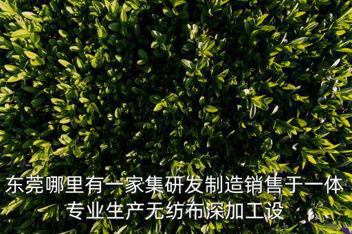 東莞哪里有一家集研發制造銷售于一體專業生產無紡布深加工設