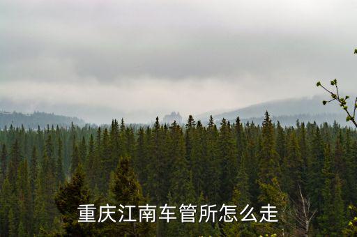 重慶江南車(chē)管所怎么走