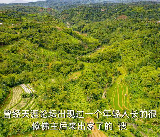 天涯論壇 陳建枝 東莞，東莞南城最火桑拿群