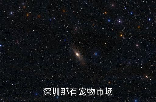 深圳寵物市場，深圳那有寵物市場