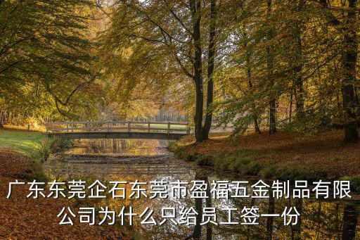 廣東東莞企石東莞市盈福五金制品有限公司為什么只給員工簽一份